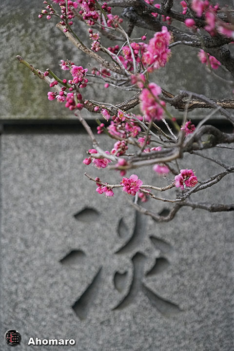 写真00