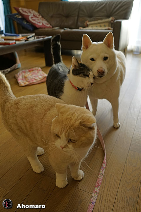 写真00