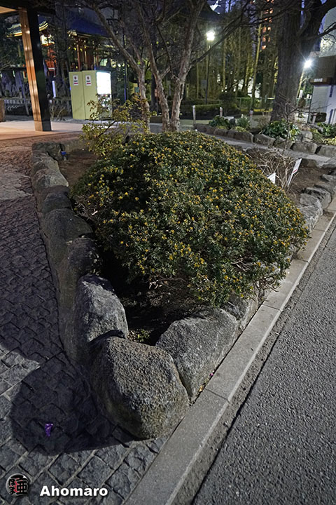 写真00