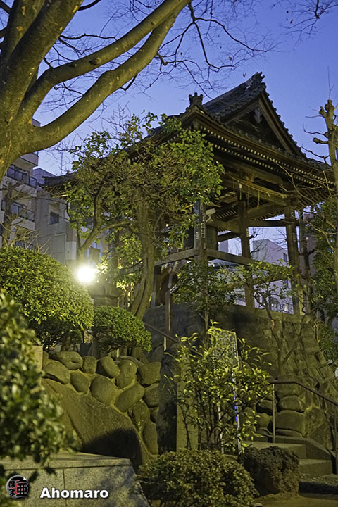 写真00