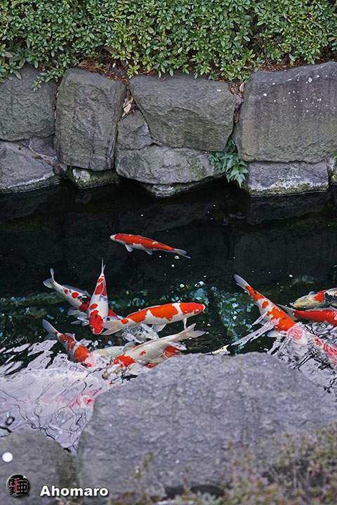 写真00
