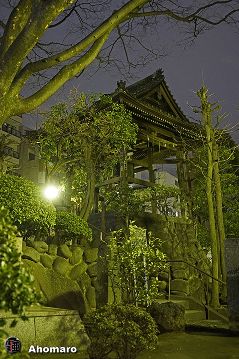写真00