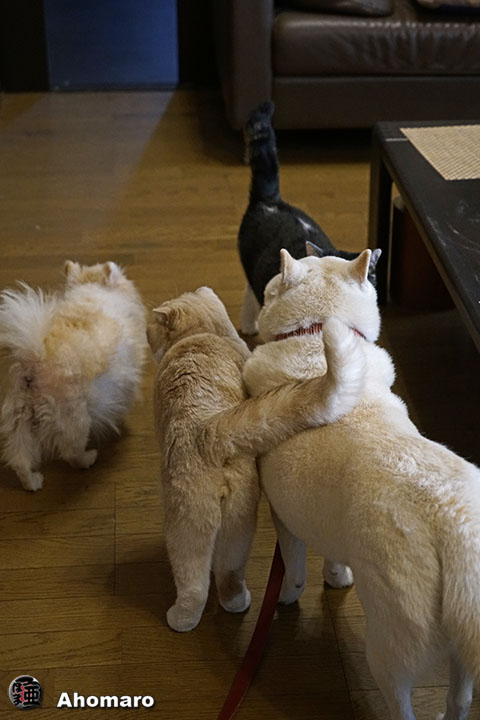 写真00