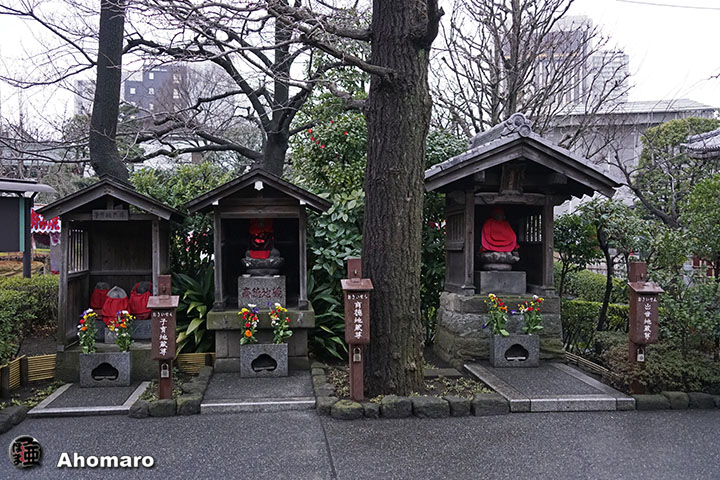 写真00