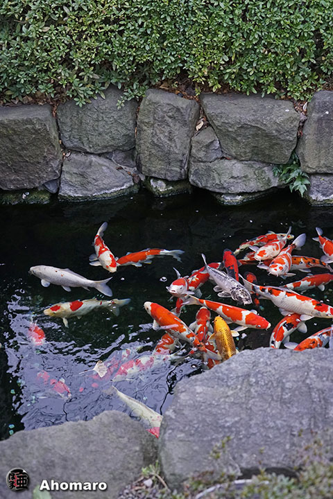 写真00