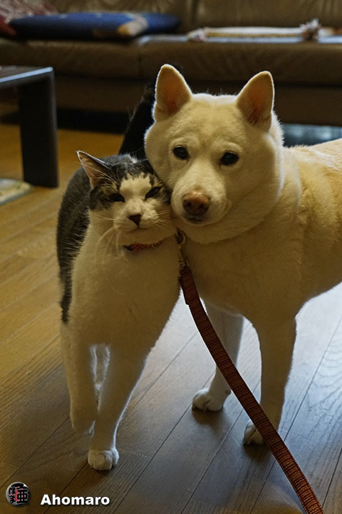 写真00