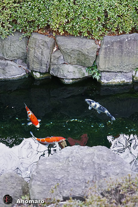 写真00