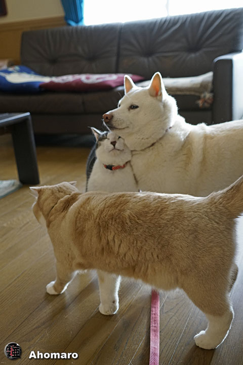 写真00