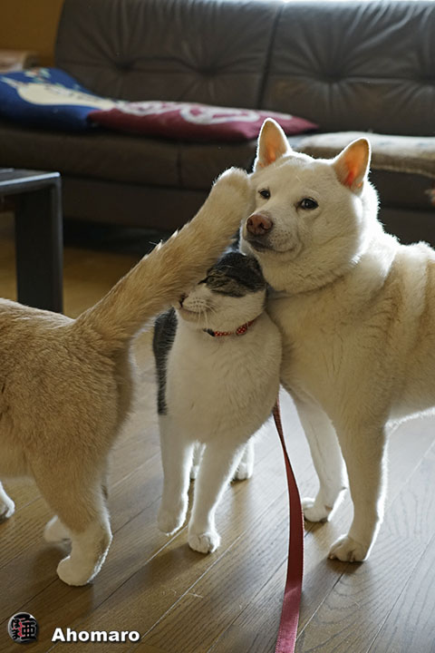 写真00