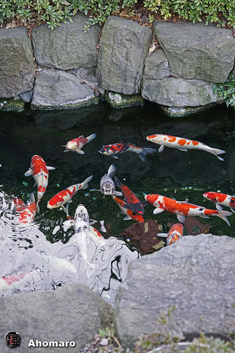写真00