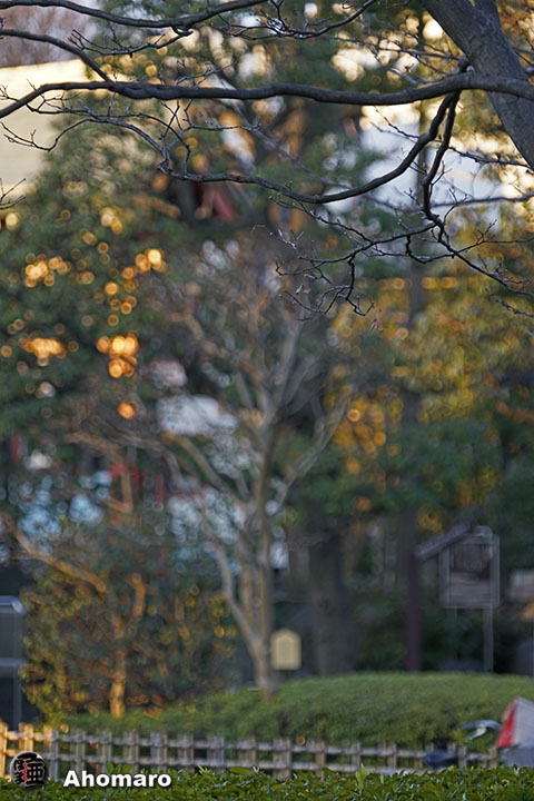 写真00