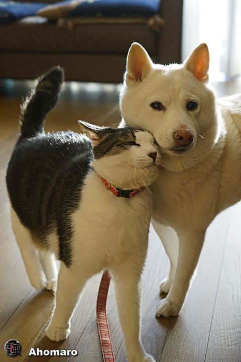 写真00