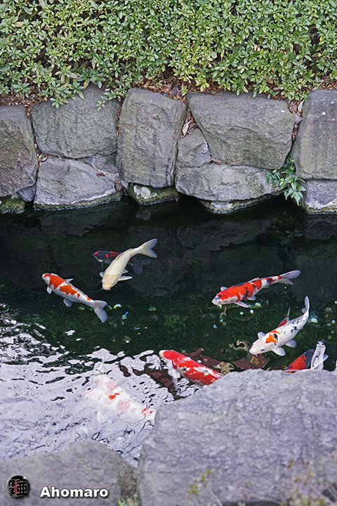 写真00