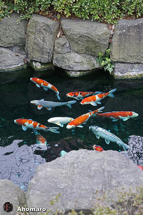 写真00