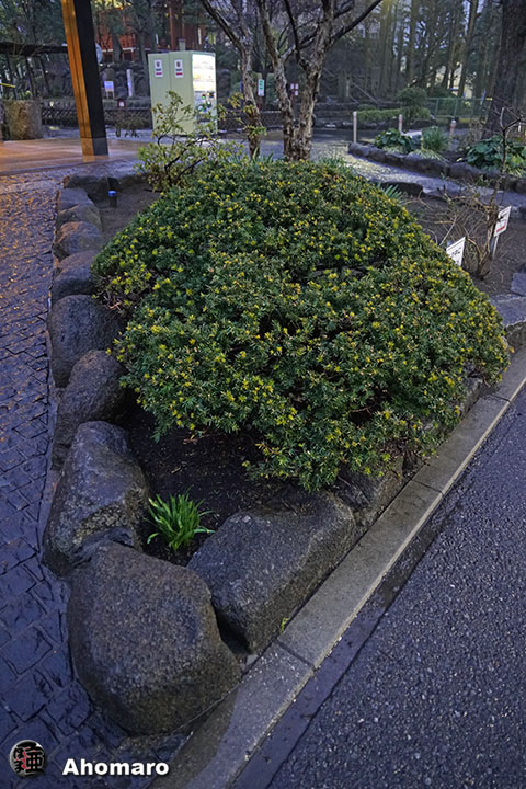 写真00