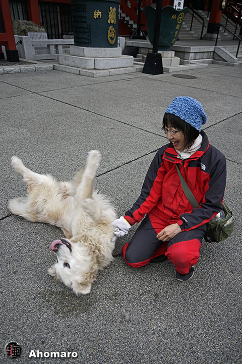写真00