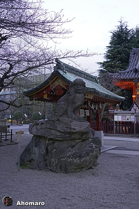 写真00