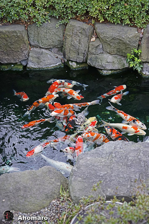 写真00