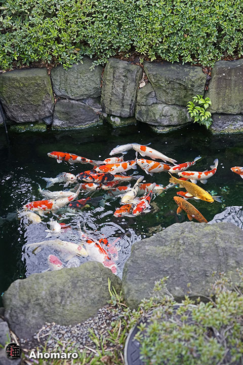 写真00