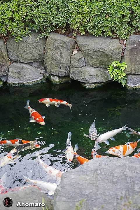 写真00