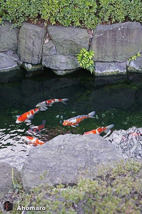 写真00