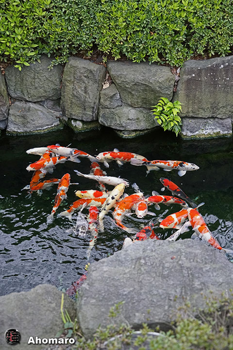 写真00