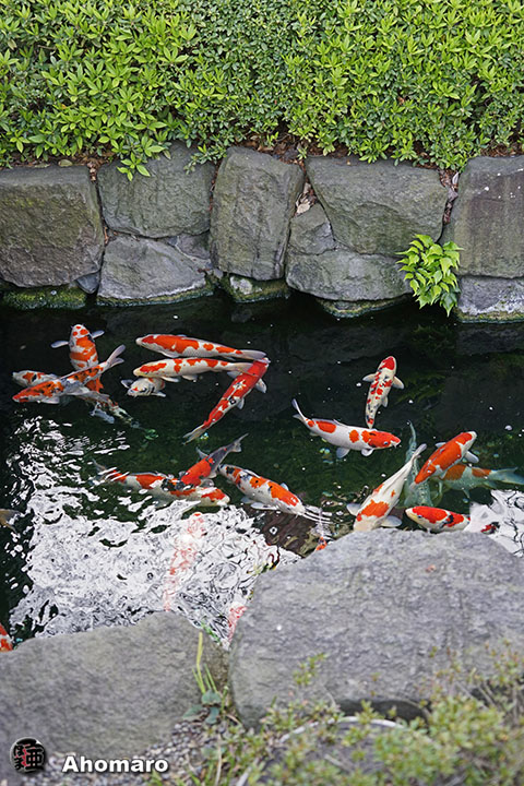 写真00