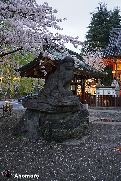 写真00