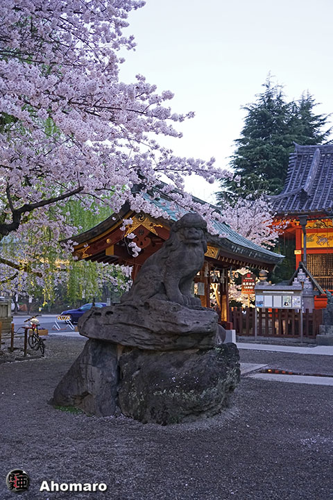 写真00