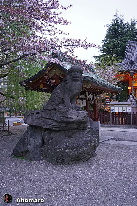 写真00