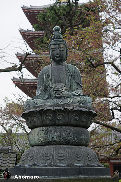 写真00