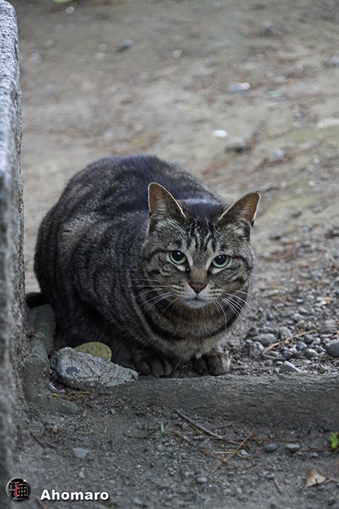 写真00