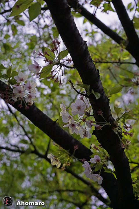 写真00