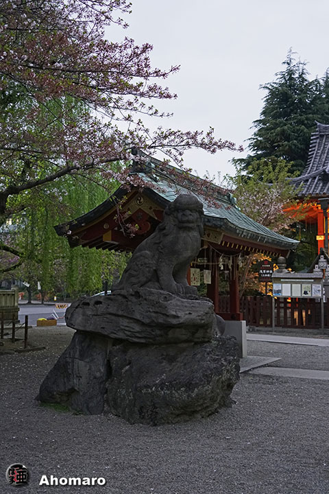 写真00