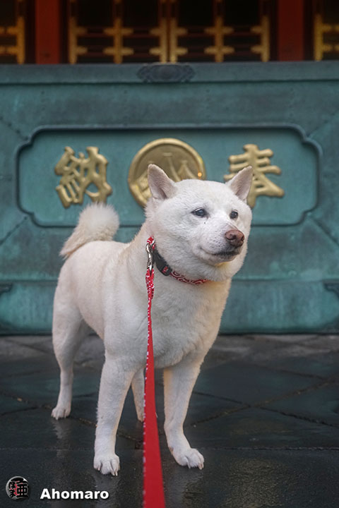 ʐ^00
