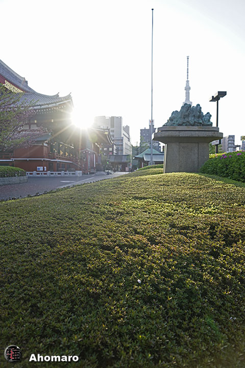 写真00