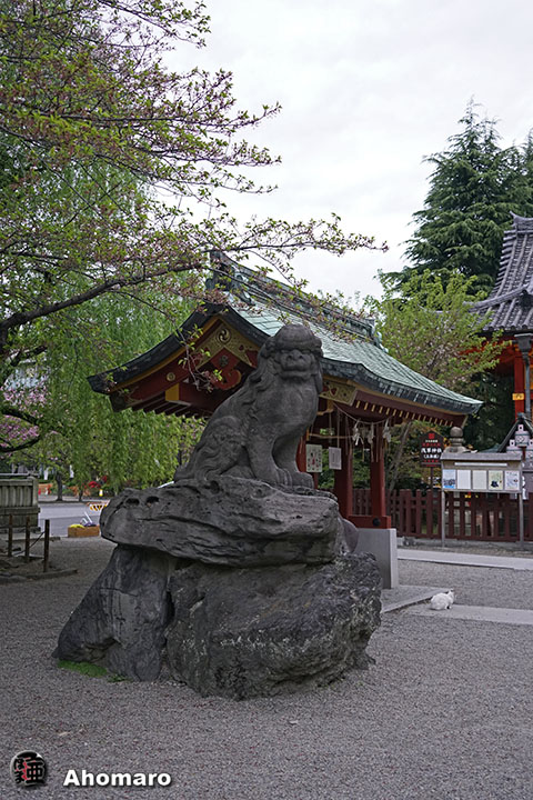 写真00