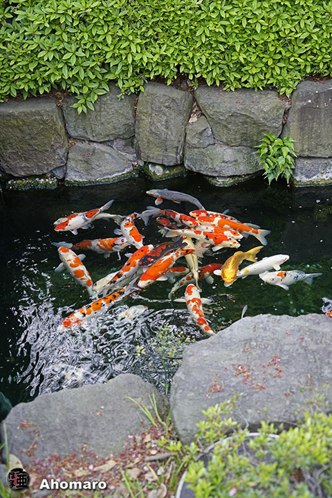 写真00