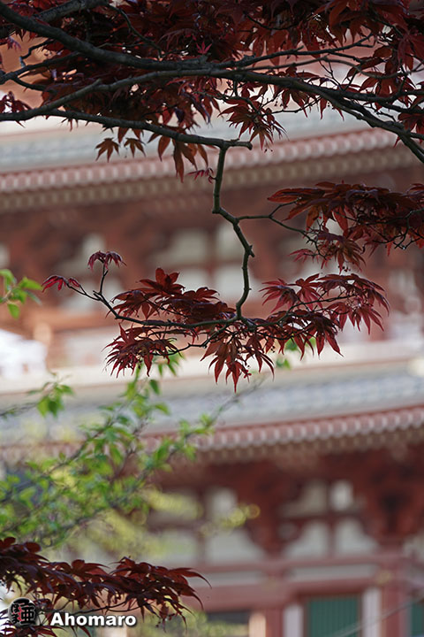 写真00