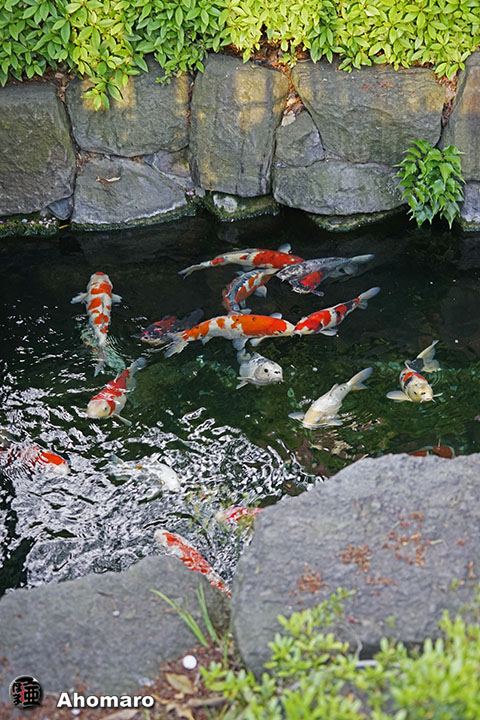 写真00