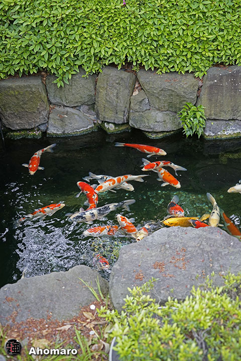 写真00