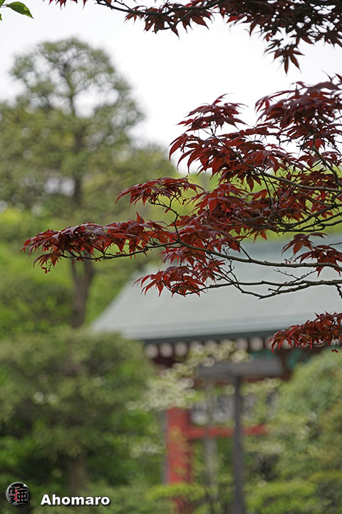 写真00
