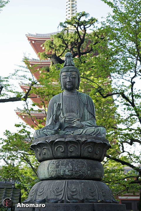 写真00