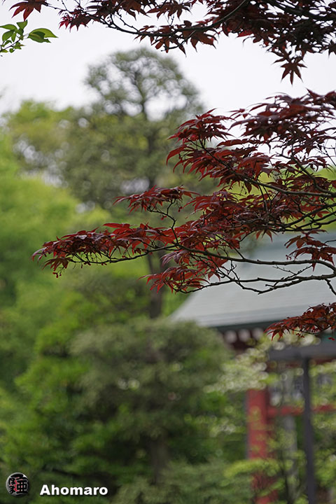 写真00