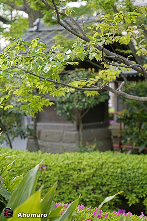 写真00