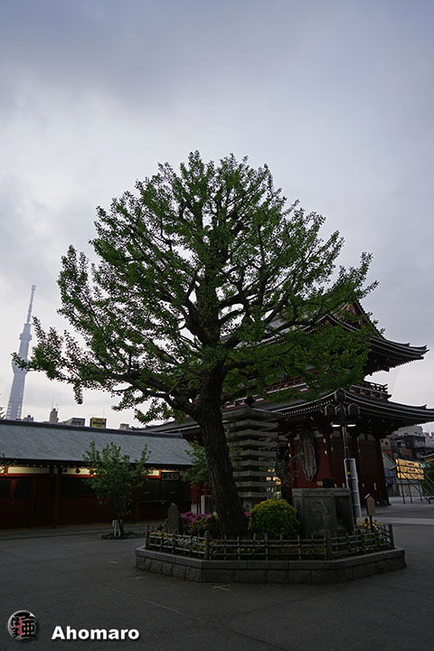 写真00