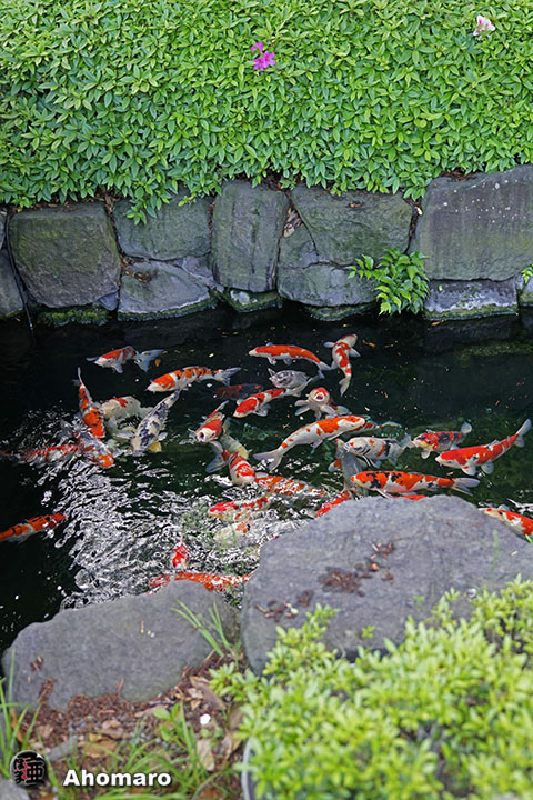 写真00