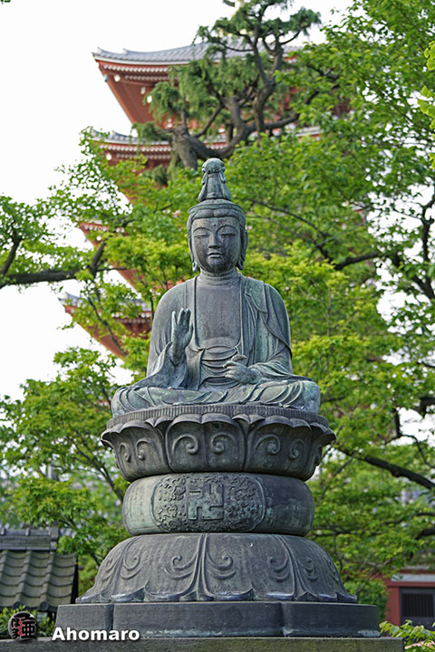 写真00