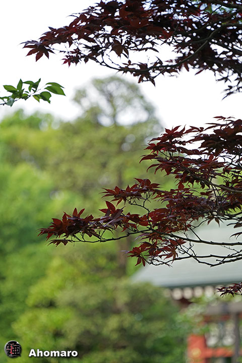 写真00