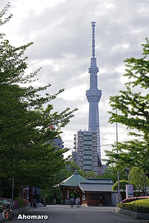 写真00